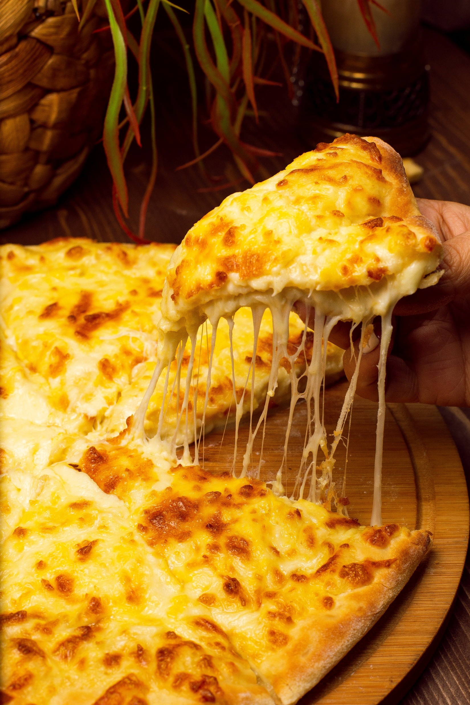 cheese